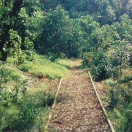 Path through the bush of Fred Hollows Reserve
