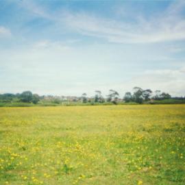 Open field at Randwick Barracks