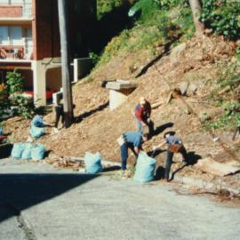 Volunteers cleaning Albi Place (Photo 3/9)