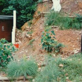 Section of cleared vegetation at Albi Place (Photo 4/9)