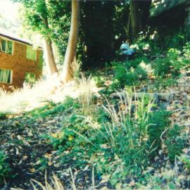 Section of Vegetation at Albi Place (Photo 8/9)