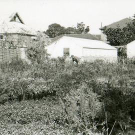 Council's Nursery 1980 (photo 3)