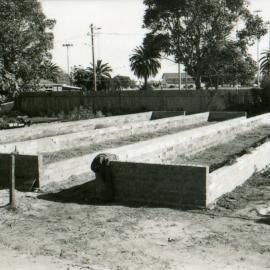 Council's Nursery 1980 (photo 5)