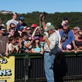 John Cann's final snake show (photo 25)