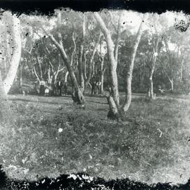People gathered at the Yarra Bay Pleasure Grounds
