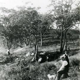 Picnic at the Yarra Bay Pleasure Grounds