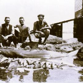 Men posing with their catch of fish and two sharks