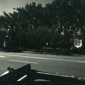 Todman Avenue facing Raleigh Park