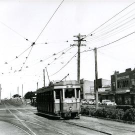 Tram on Anzac Parade near Maroubra Road Intersection