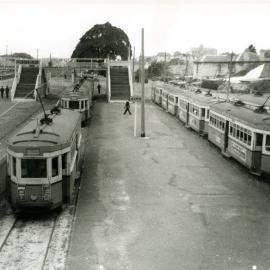 Trams at the Randwick Racecourse tram stop.
