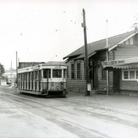 Tram on Anzac Parade near Centennial Park