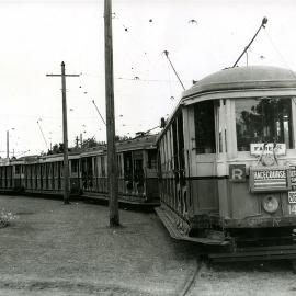 4 Carriage Tram