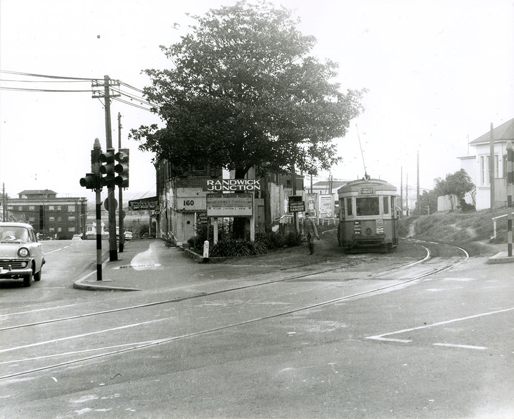 Tram at Randwick Junction