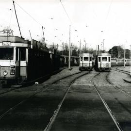 Trams at Royal Randwick Racecourse