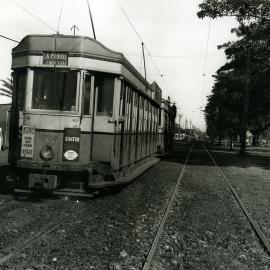 Tram stopped at Moore Park