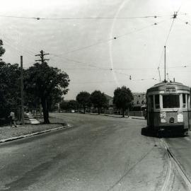 Tram on Todman Avenue