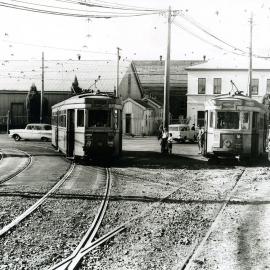 Trams at Randwick Tram depot