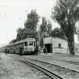 Tram stopped at Moore Park