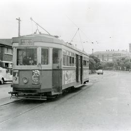 Tram on Todman Avenue