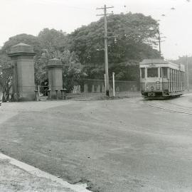 Tram for Clovelly on Darley Road