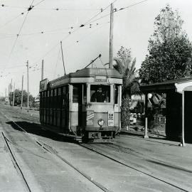 Tram on Anzac Parade