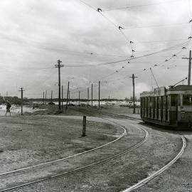 Tram on Anzac Parade