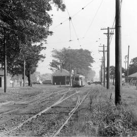 Tram on Anzac Parade near Cleveland Street