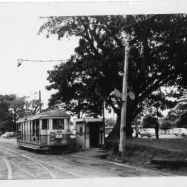 Tram near Moore Park