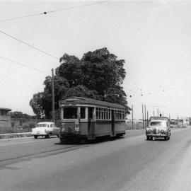 Tram on Anzac Parade near UNSW