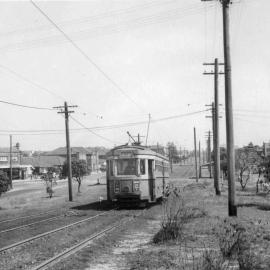 Tram on Anzac Parade near Avoca Street