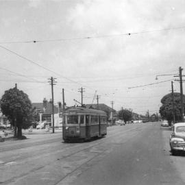 Tram in Kingsford
