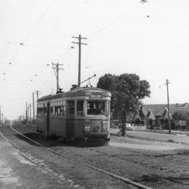 Tram on Anzac Parade in Kingsford