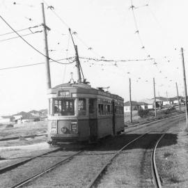Tram on Anzac Parade