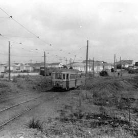 Tram on Anzac Parade