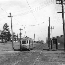 Trams on Anzac Parade at Storey Street Intersection