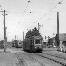Tram on Anzac Parade at Kingsford