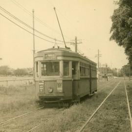 Tram near Moore Park