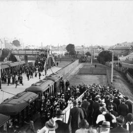 Trams at Randwick Racecourse
