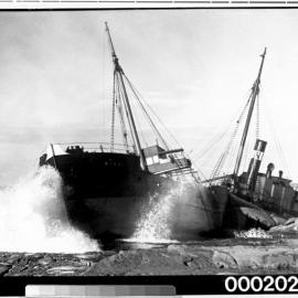 SS Minmi