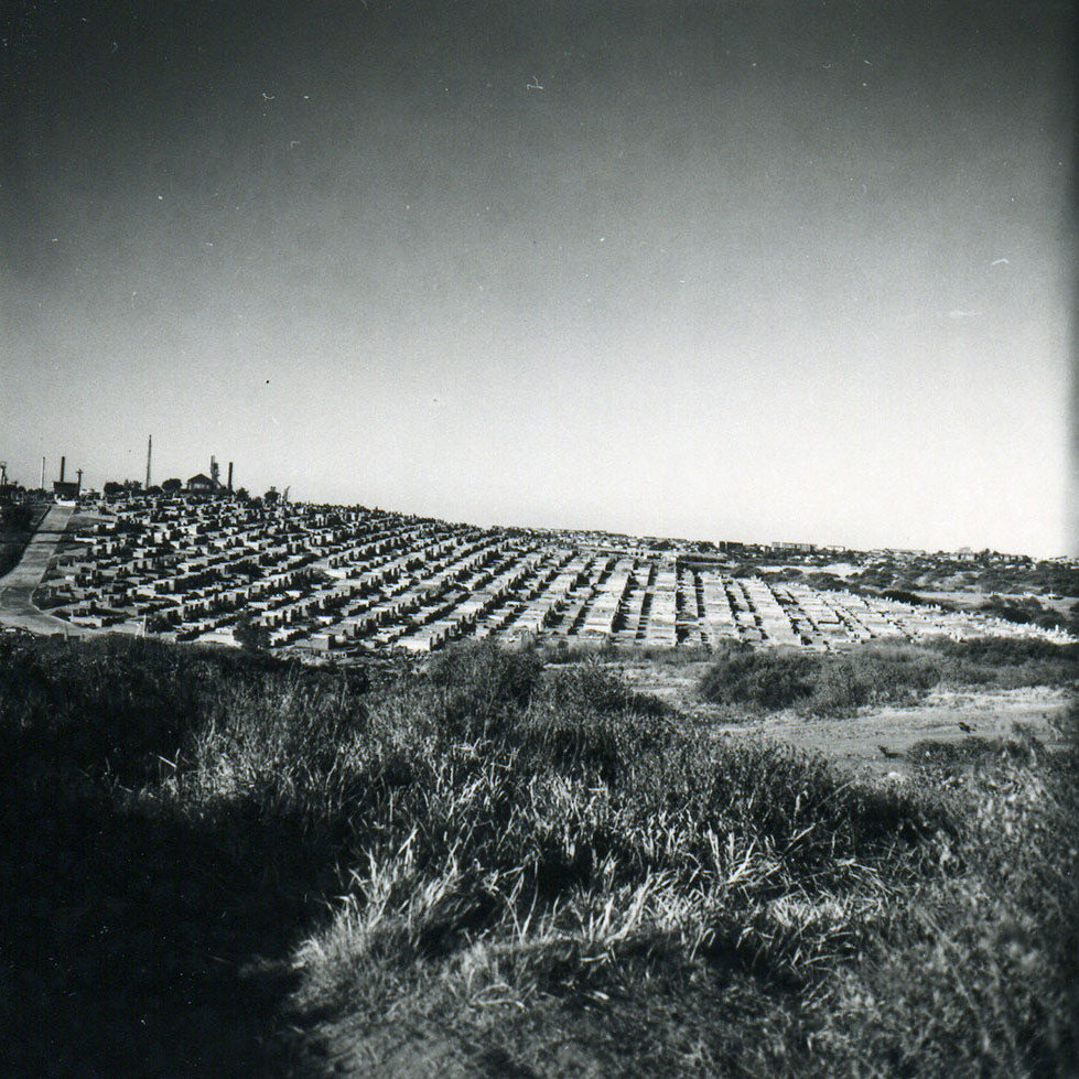 Eastern Suburbs Memorial Park