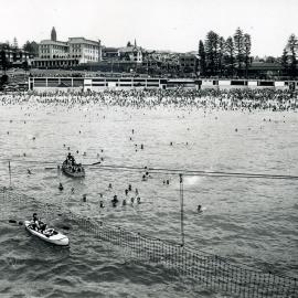 Coogee Beach and Shark net
