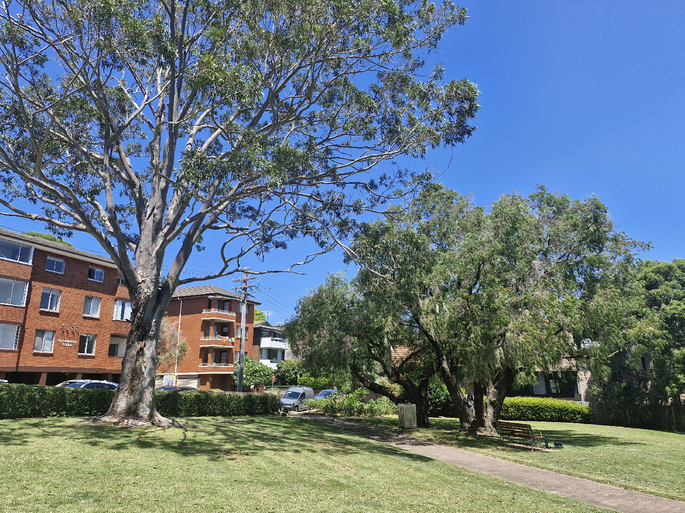 "Frank Doyle Park, Randwick" 2025 (Elena Vlassova)