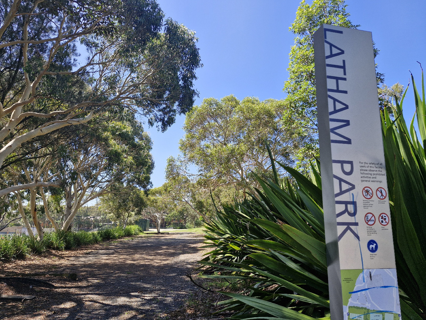 "Latham Park, South Coogee" 2025 (Elena Vlassova)