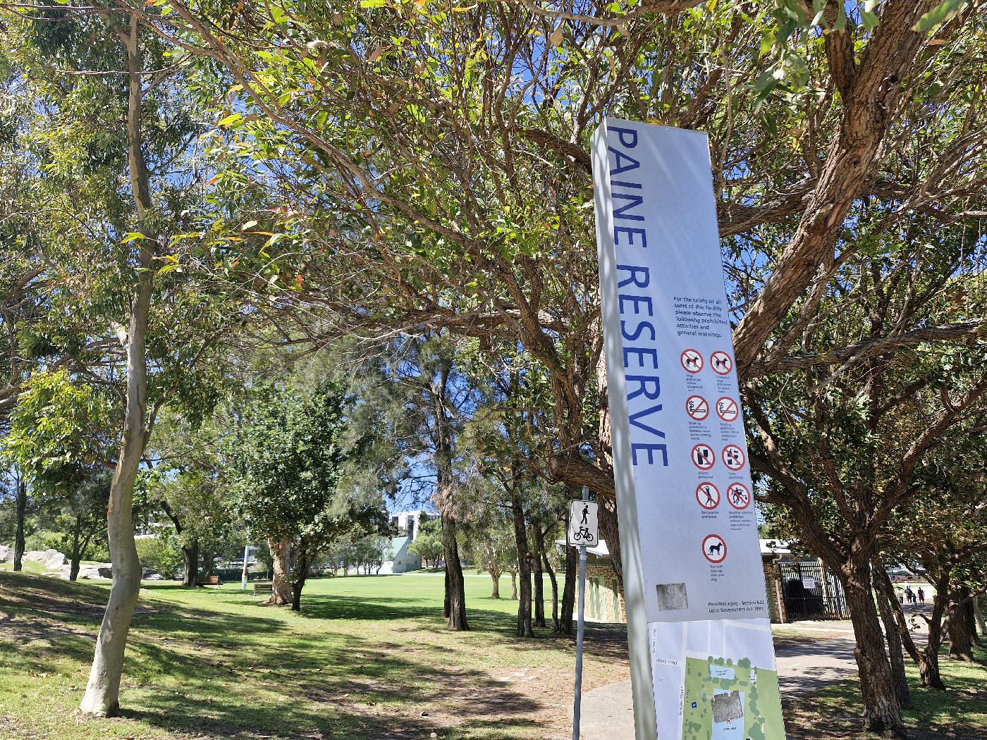 "Paine Reserve, Randwick" 2025 (Elena Vlassova)